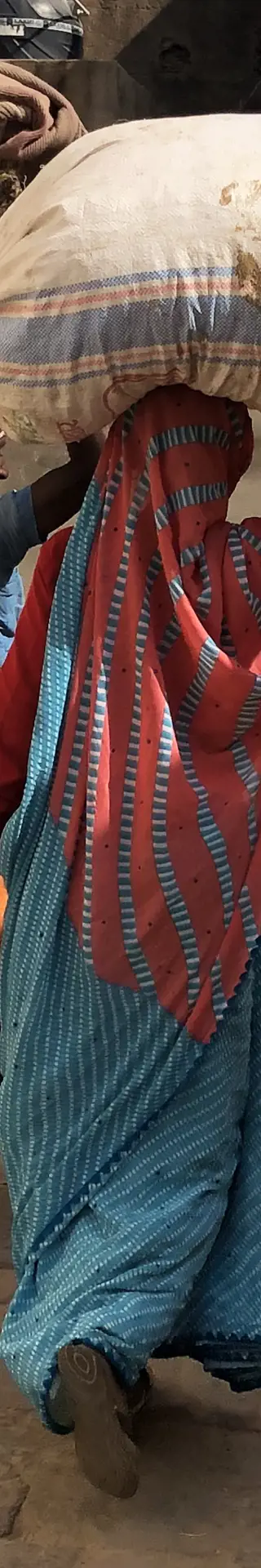 Ein Fotosujet nach dem anderen